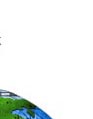 Distributer2.jpg (12112 bytes)